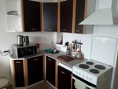 1-к кв. Санкт-Петербург дор. Муринская, 16к2 (28.6 м)