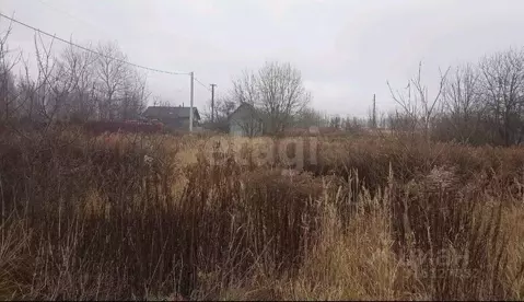 Участок в Брянская область, Трубчевский район, Городецкое с/пос, д. ...