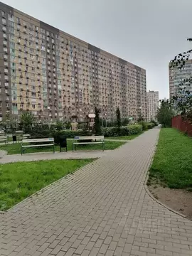 Студия Московская область, Ленинский городской округ, Мисайлово пгт ш. ...