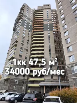 1-к кв. Санкт-Петербург просп. Большевиков, 79к4 (47.5 м)