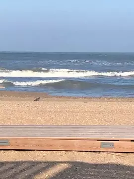 1-к кв. Дагестан, Махачкала ул. Тулпара Мусалаева, 16 (52.0 м)