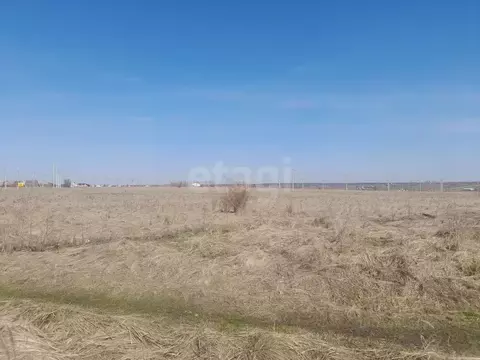 Участок в Саратовская область, Балашовский район, Хоперское ...