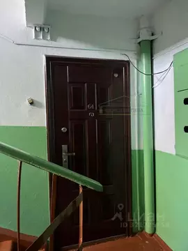 3-к кв. Приморский край, Дальнереченск Уссурийская ул., 48 (52.6 м)