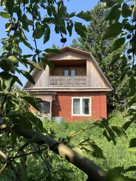 Дом в Омская область, Омск СОСН Березка-3 тер., 55 (36 м)