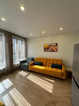 Студия Санкт-Петербург ул. Челюскина, 4 (26.3 м)