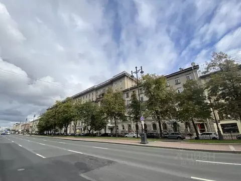 Торговая площадь в Санкт-Петербург Московский просп., 172 (67 м)