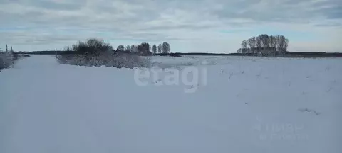 Участок в Новосибирская область, Мошковский район, с. Томилово  (99.91 ...