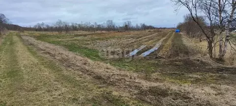 Участок в Сахалинская область, Анивский городской округ, с. Успенское  ...