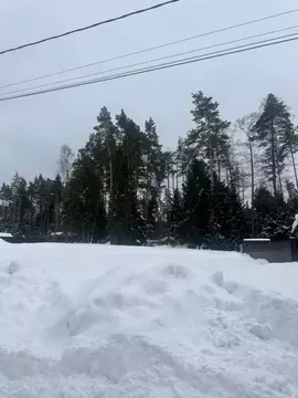 Участок в Московская область, Богородский городской округ, Николин Луг ...