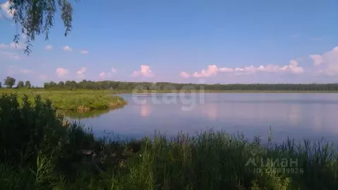 Участок в Тюменская область, Исетский муниципальный округ, с. ...