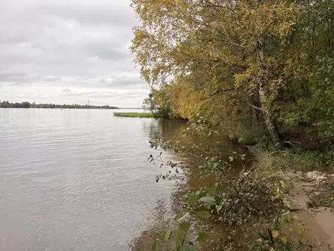 Участок в Тверская область, Кимрский муниципальный округ, д. Кадниково ...