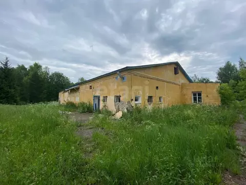 Склад в Костромская область, Нерехтский район, Волжское с/пос, с. Спас ...