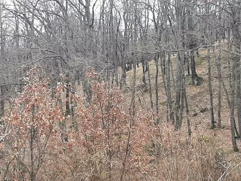 Участок в Крым, Ялта городской округ, Виноградное пгт ш. ...