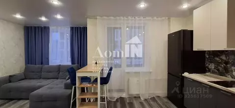 Студия Ленинградская область, Мурино Всеволожский район, ул. ...