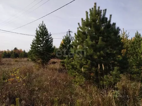 Участок в Тюменская область, Нижнетавдинский муниципальный округ, д. ...
