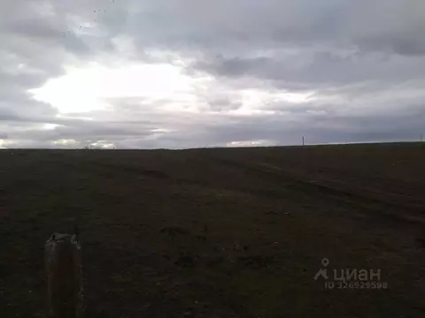 Участок в Крым, Симферопольский район, Перовское с/пос, с. Ключи ул. ...