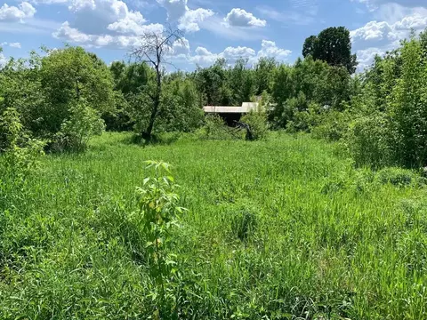 Участок в Брянская область, Брянский район, д. Стеклянная Радица ул. ...