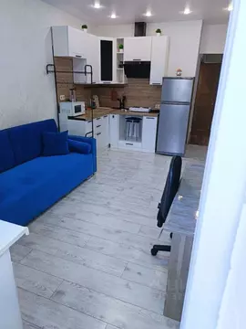 Студия Краснодарский край, Краснодар ул. Автолюбителей, 1/7к2 (24.0 м)