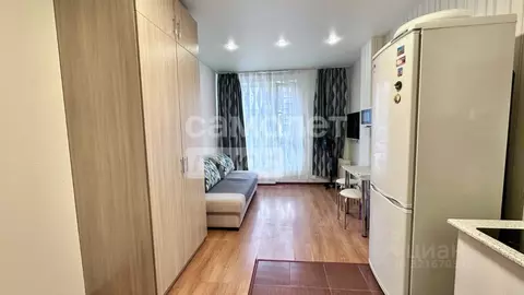 Студия Самарская область, Тольятти ул. 40 лет Победы, 43Д (23.2 м)