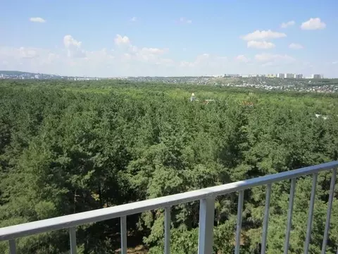 1-к кв. Саратовская область, Саратов проезд 1-й Урожайный, 1А (42.0 м)