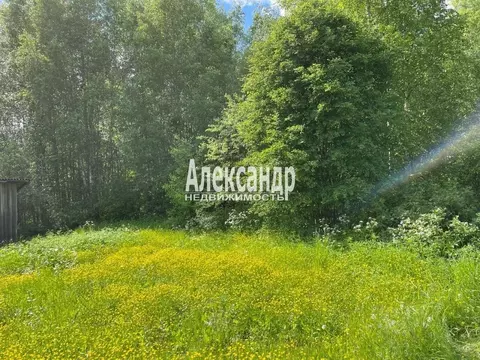 Участок в Ленинградская область, Выборг Подсобное СНТ, пер. 3-й ...