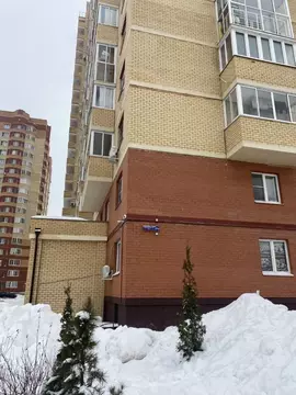 Помещение свободного назначения в Московская область, Раменское ул. ...