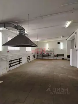 Производственное помещение в Пензенская область, Пенза ул. Литвинова ...