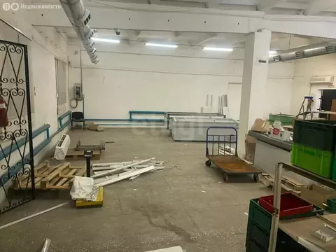 Помещение свободного назначения (305 м)