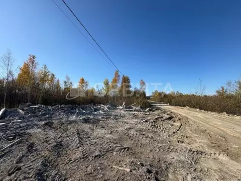 Участок в Тюменская область, Тюменский муниципальный округ, Винзили рп ...