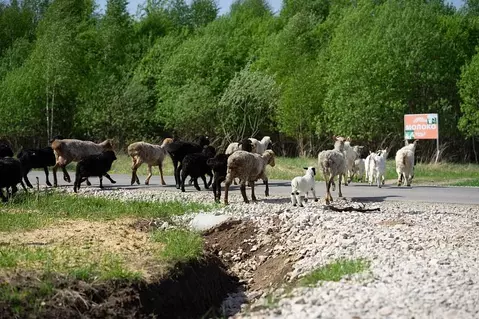Участок в Тульская область, Заокский район, Демидовское муниципальное ...