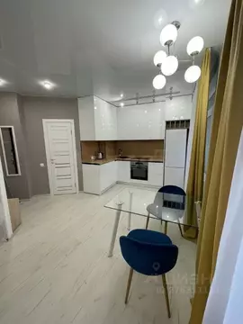 1-к кв. Воронежская область, Воронеж ул. Летчика Колесниченко, 65А ...