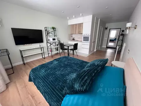 Студия Московская область, Ногинск Богородский городской округ, ул. ...