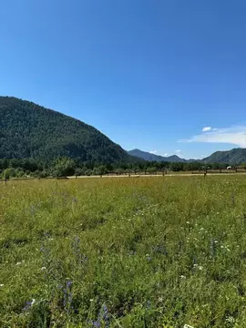 Участок в Алтай, Чемальский район, Узнезинское с/пос, с. Узнезя  ...