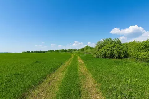 Участок в Тюменская область, Тюмень  (7.48 сот.)