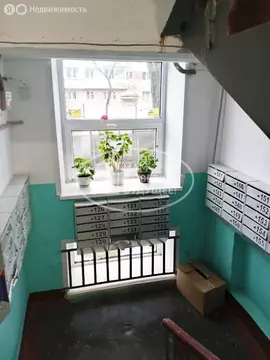 1-комнатная квартира: Чайковский, улица Кабалевского, 26 (18.7 м)