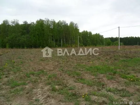 Участок в Калининградская область, Гурьевский муниципальный округ, ...