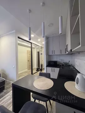 Студия Краснодарский край, Сочи ул. Яна Фабрициуса, 66/5 (23.8 м)