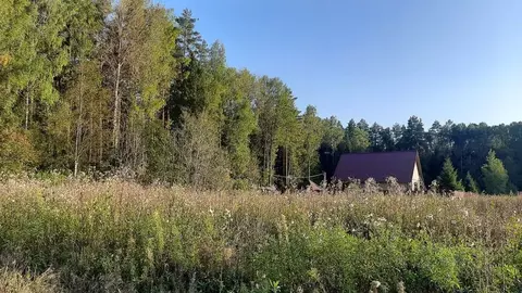 Участок в Московская область, Лотошино муниципальный округ, д. ...