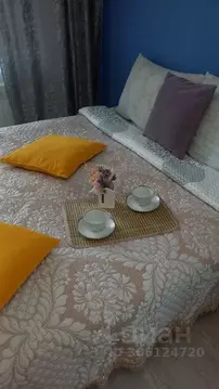 1-к кв. Ярославская область, Ярославль ул. Свердлова, 110 (31.0 м)