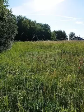 Участок в Костромская область, Костромской район, Самсоновское с/пос, ...