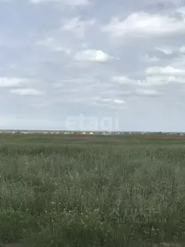 Участок в Крым, Евпатория Исмаил-Бей мкр, ул. 28 Августа (9.9 сот.)