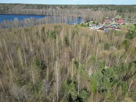 Участок в Ленинградская область, Выборгский район, Приморское ...