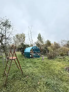Участок в Вологодская область, Броун садоводческое товарищество  (12.3 ...