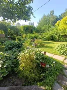 Участок в Москва д. Николо-Хованское, Коммунарка-1 СНТ, 164 (8.0 сот.)