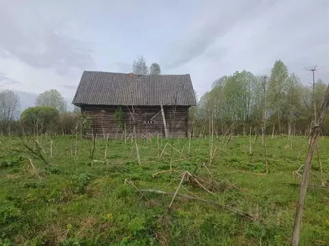 Участок в Новгородская область, Маловишерский район, Бургинское с/пос, ...