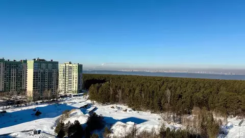 3-к кв. Алтайский край, Барнаул ул. 6-я Нагорная, 15Вк3 (63.4 м)