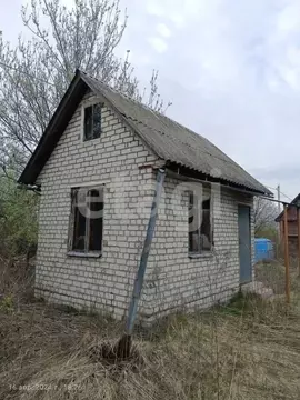 Дом в Брянская область, Брянский район, Снежское с/пос, с. Толмачево, ...