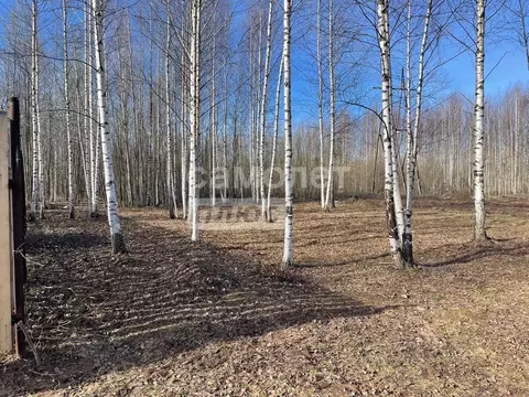 Участок в Пермский край, Залесная СНТ  (8.45 сот.)