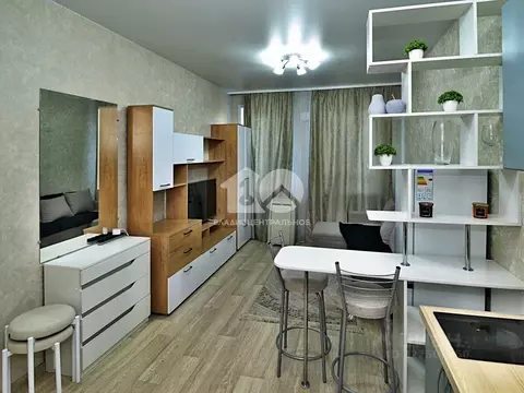 Студия Новосибирская область, Новосибирск Красный просп., 323 (26.2 м)