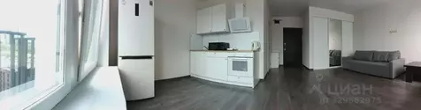 Студия Москва Донецкая ул., 34к2 (27.2 м)